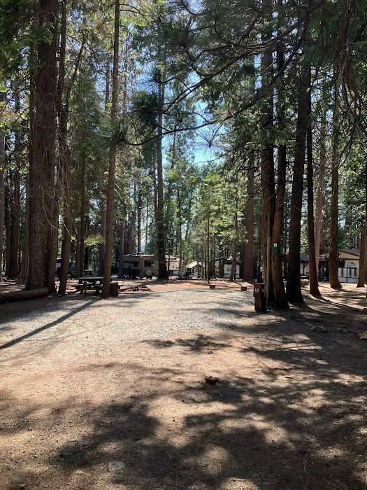 Golden Pines RV Resort and Campground - Arnold, CA Picture 9