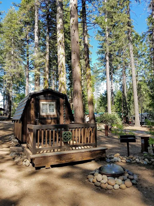 Golden Pines RV Resort and Campground - Arnold, CA Picture 3