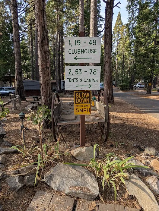 Golden Pines RV Resort and Campground - Arnold, CA Picture 7
