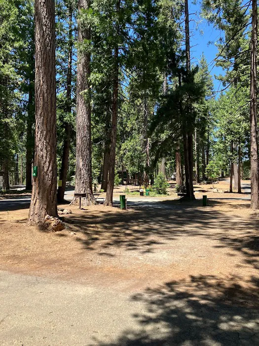 Golden Pines RV Resort and Campground - Arnold, CA Picture 1