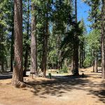 Golden Pines RV Resort and Campground - Arnold, CA