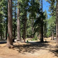Golden Pines RV Resort and Campground - Arnold, CA ico
