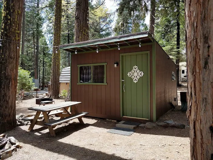 Golden Pines RV Resort and Campground - Arnold, CA Picture 8