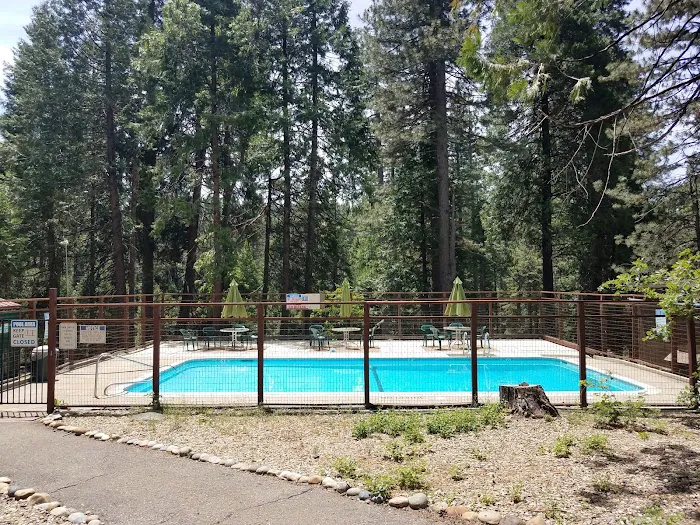 Golden Pines RV Resort and Campground - Arnold, CA Picture 10