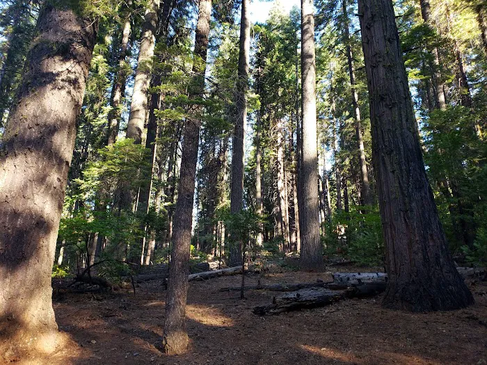 Oak Hollow Campground Picture 10