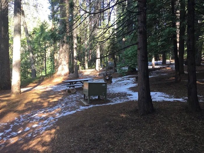 Oak Hollow Campground Picture 8