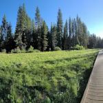 Campground Group | Calaveras Big Trees