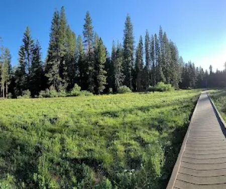 Campground Group | Calaveras Big Trees