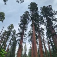 North Grove Campground ico