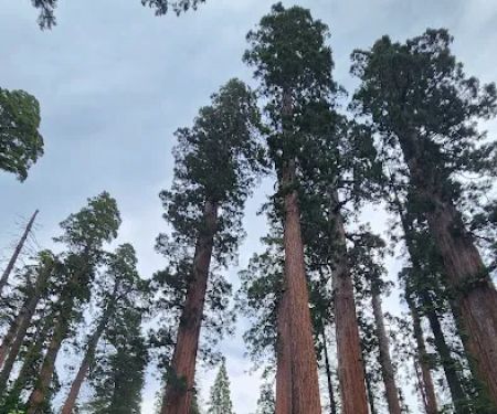 North Grove Campground