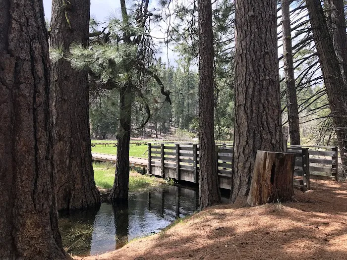 North Grove Campground Picture 4