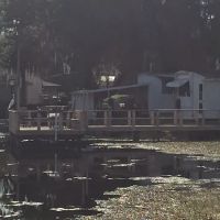 Leeson's Lakeshore MHC ico