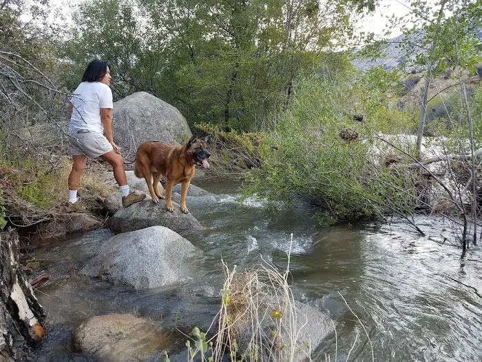 Hospital Flat Campground Picture 8