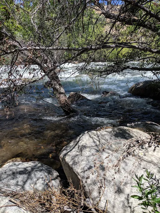 Hospital Flat Campground Picture 5