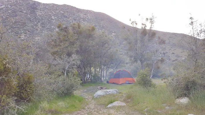 Chamise Flat Campground Picture 5