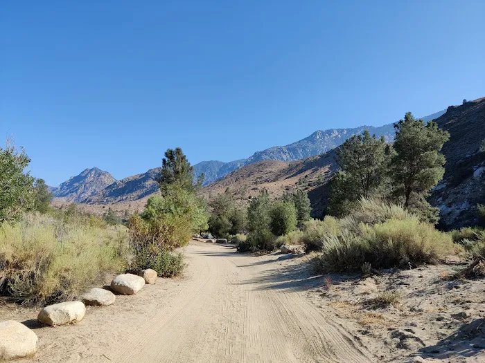 Lower Springhill Campground Picture 7