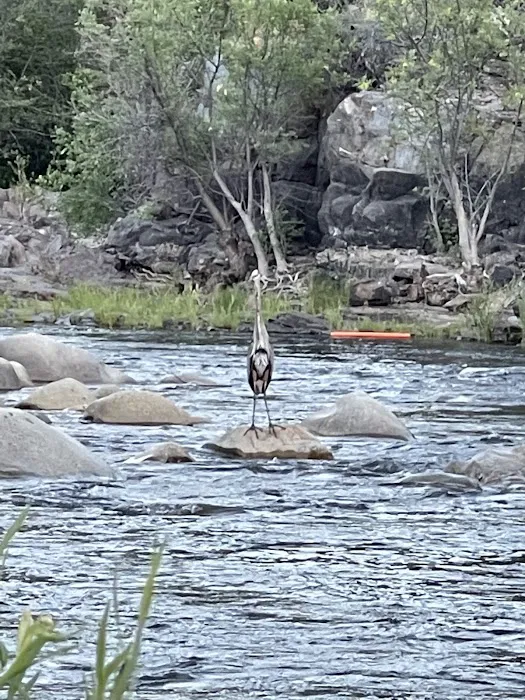 Corral Creek Campground Picture 8