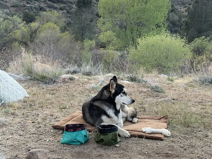 Corral Creek Campground Picture 2