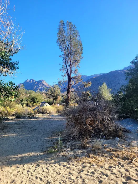 Gold Ledge Campground Picture 4