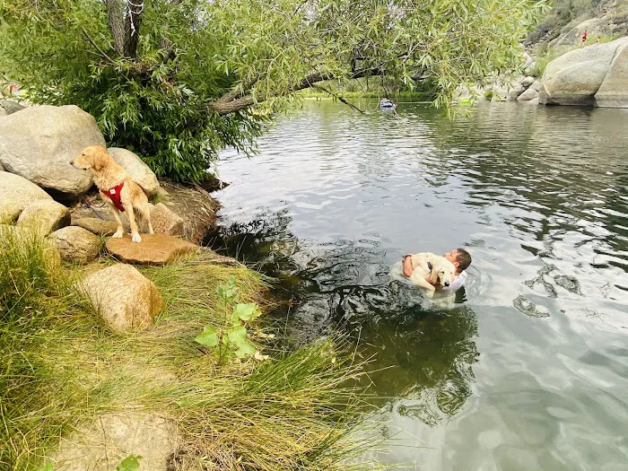 Gold Ledge Campground Picture 6