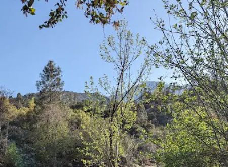 Ant Canyon Campground