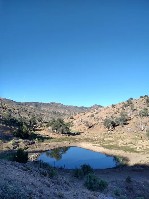 Chimney Creek Campground Picture 2