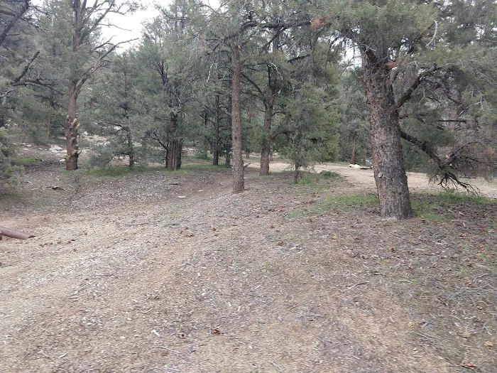 Chimney Creek Campground Picture 7