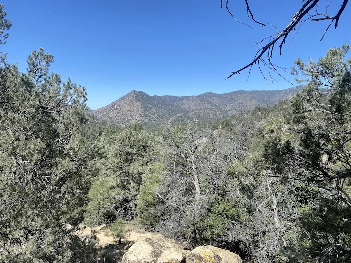 Chimney Creek Campground Picture 1