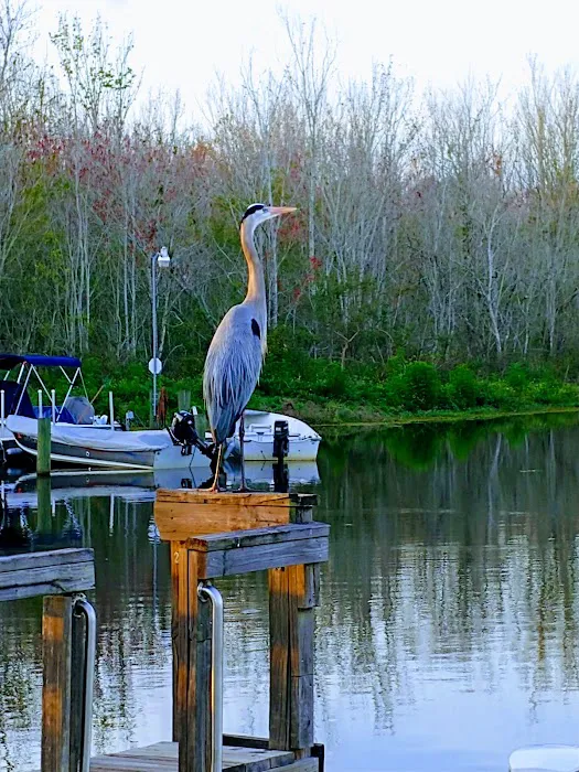 Palm Shores Mobile Home & RV Picture 9