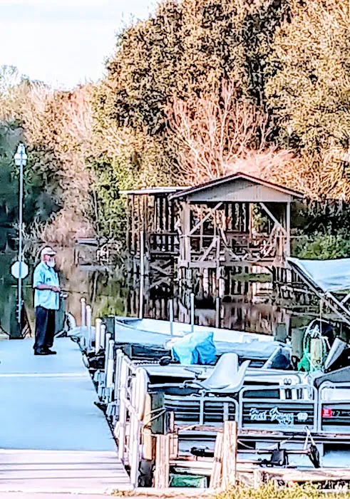 Palm Shores Mobile Home & RV Picture 6