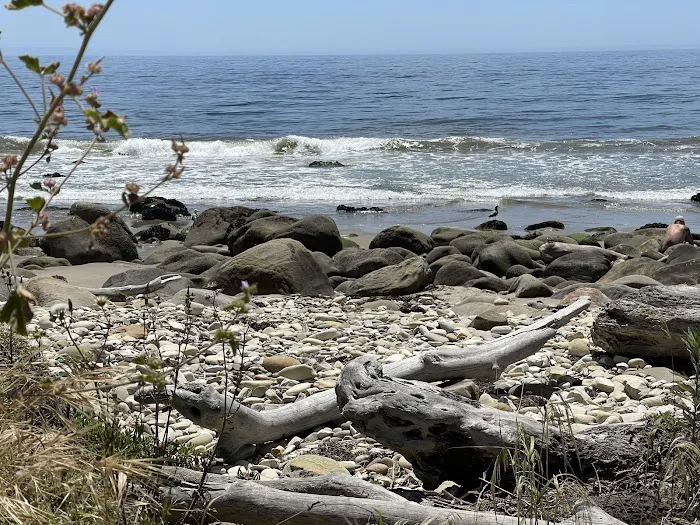 El Capitán State Beach Campground Picture 5