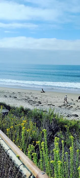 El Capitán State Beach Campground Picture 7