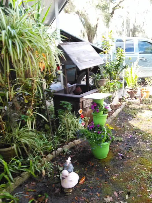 Tara Village Picture 4