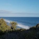 Ortega Group Camp