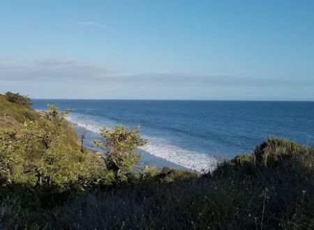 Ortega Group Camp