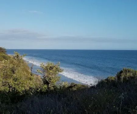 Ortega Group Camp