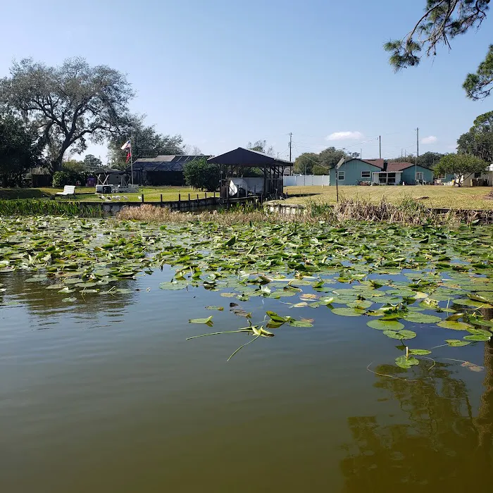 Shady Oaks RV Park Picture 6