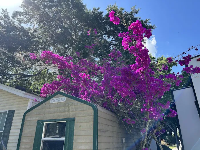 Haines Creek RV Village (55+) Picture 6