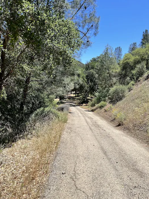 Nira Campground Picture 6