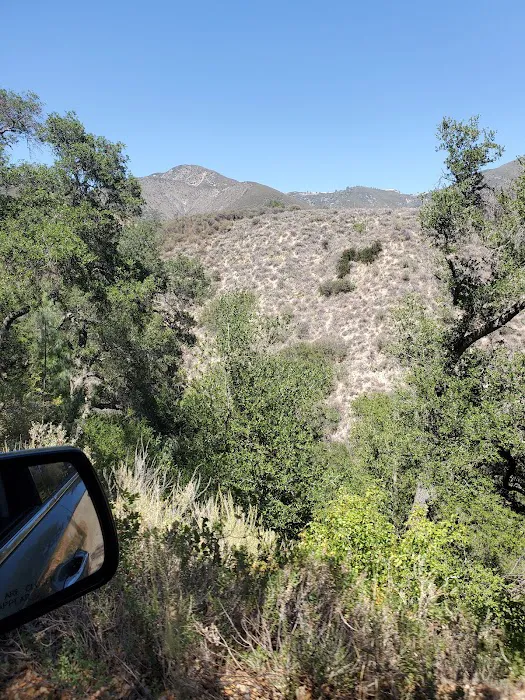 Davy Brown Campground Picture 1