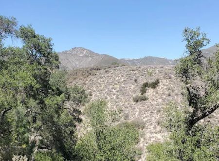 Davy Brown Campground