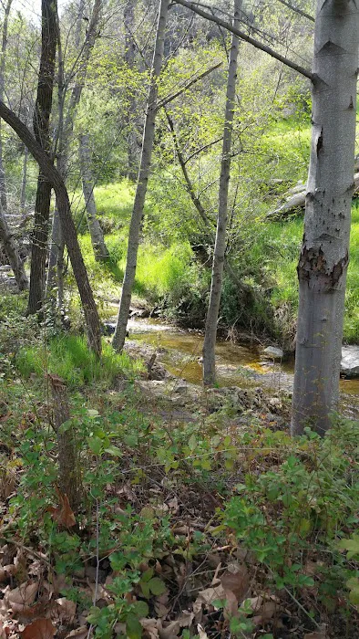 Davy Brown Campground Picture 4