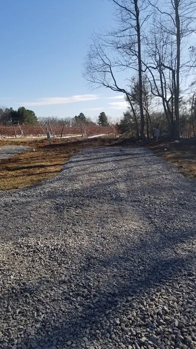 Redwood Haven RV Park Picture 4