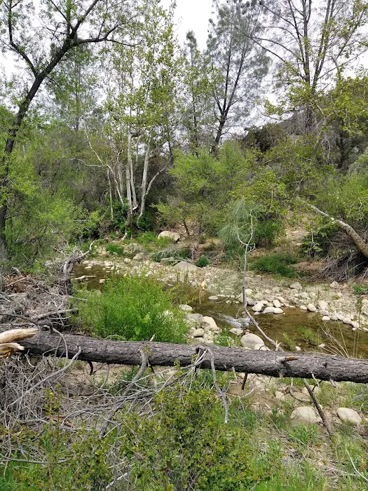 Potrero Camp Picture 7