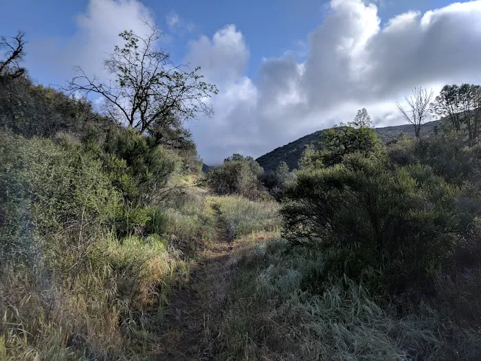 Potrero Camp Picture 3