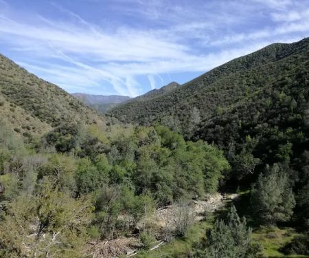 Potrero Camp