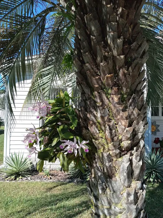 Windward Village Community Picture 3