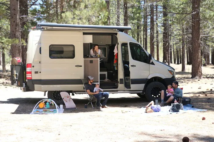 Holcomb Valley Ranch Picture 8