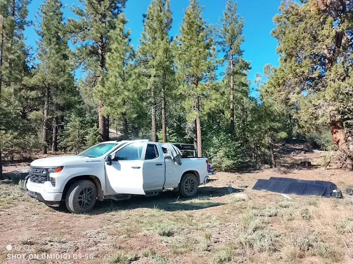 Holcomb Valley Campground Picture 5