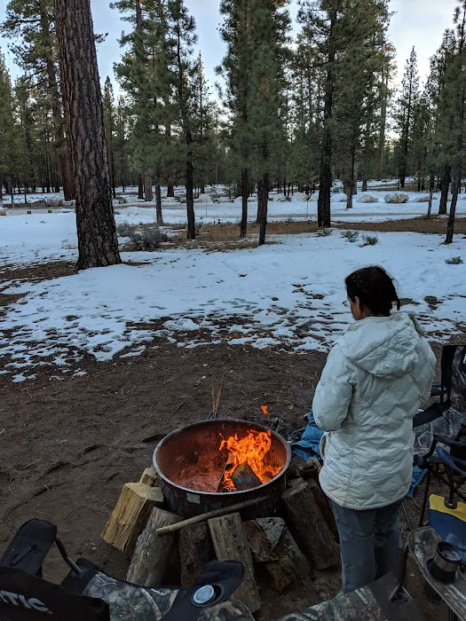 Holcomb Valley Campground Picture 4